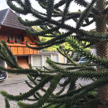 Pension Haus Rose Oberharmersbach Exterior photo